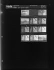 New Stop Lights (12 Negatives) March 24 - 25, 1965 [Sleeve 56, Folder c, Box 35]